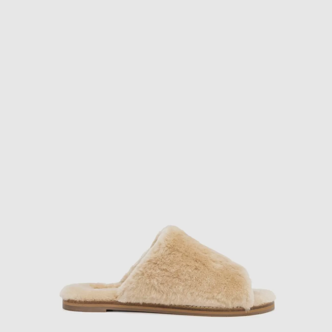 Women Aquatalia Slippers | Ariana Honey