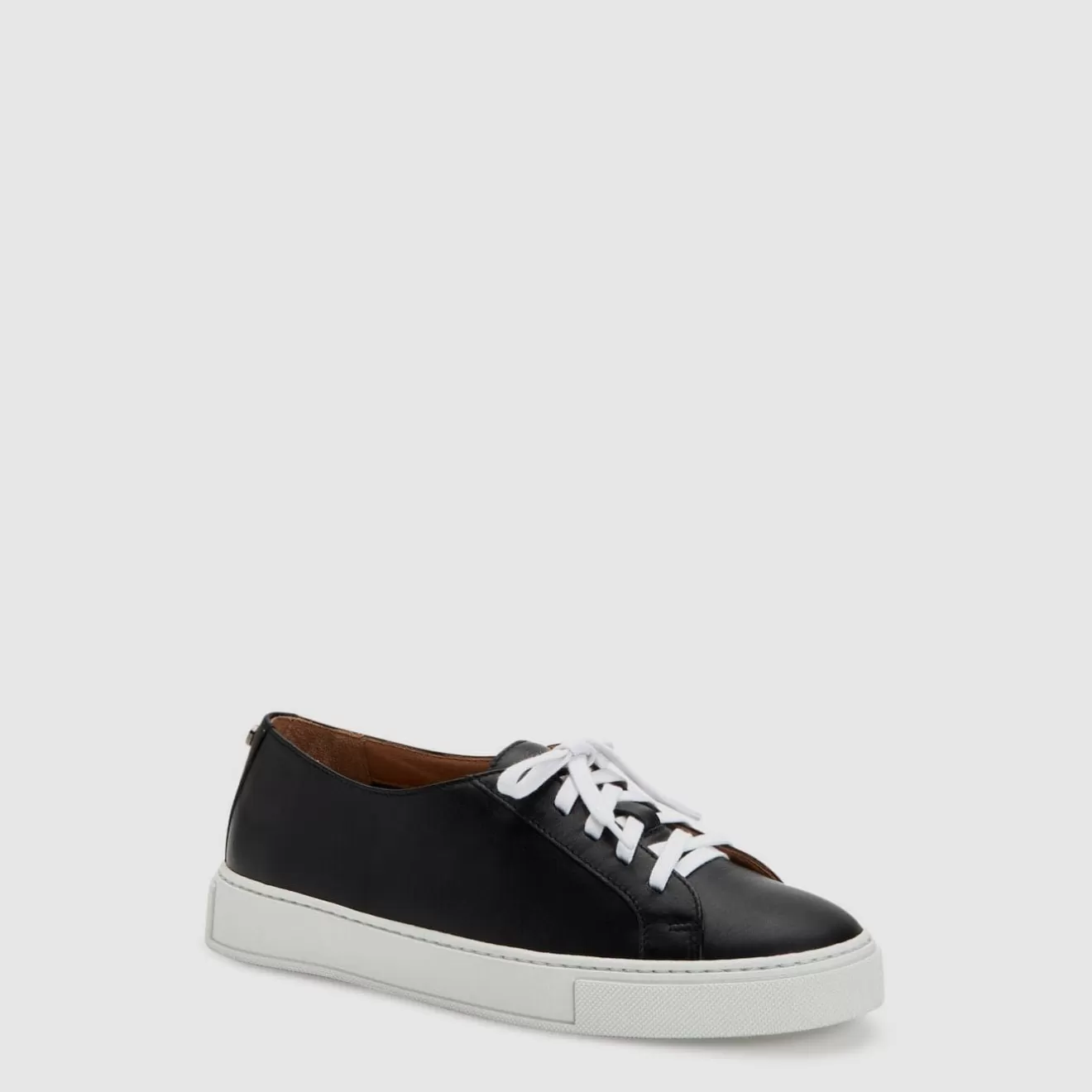 Women Aquatalia Sneakers | Ollie Black